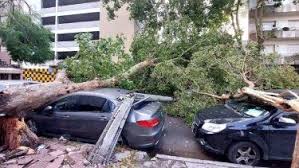/imagenes/mardel_temporal.jpg