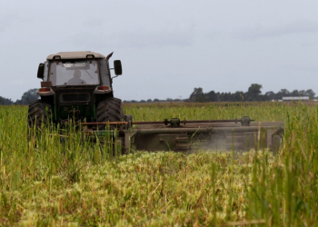 /imagenes/tractor.jpg