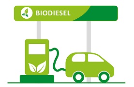 /imagenes/biodiesel3.jpg